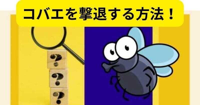 コバエを撃退して全滅させる方法！