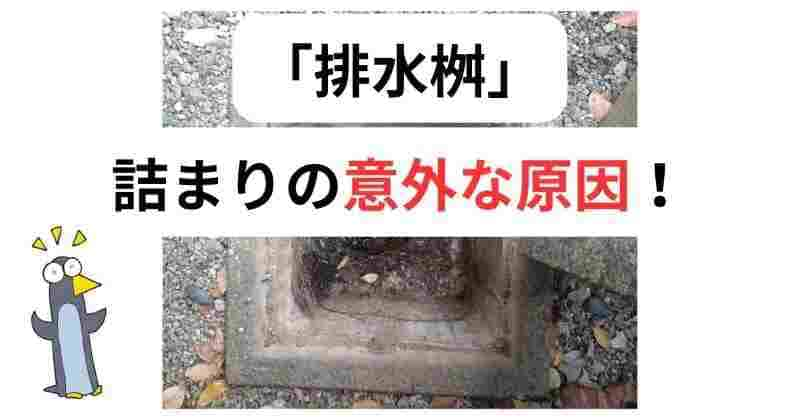 排水桝の詰まりの原因、排水桝から汚水が溢れる原因はこれ！