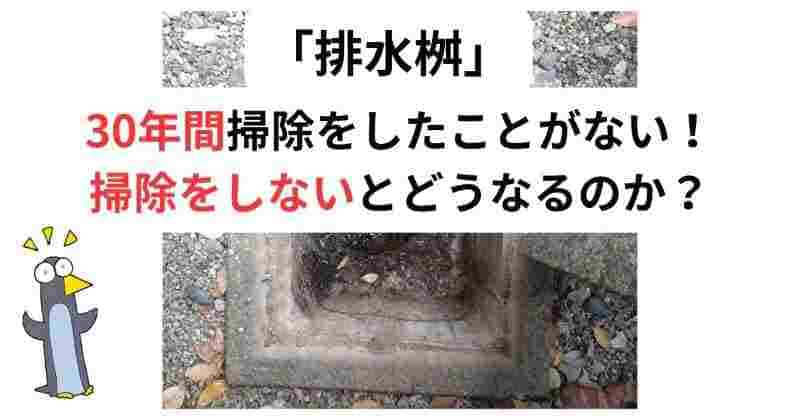 汚水枡の掃除をしたことがない！汚水枡の掃除をしないとどうなるのか？