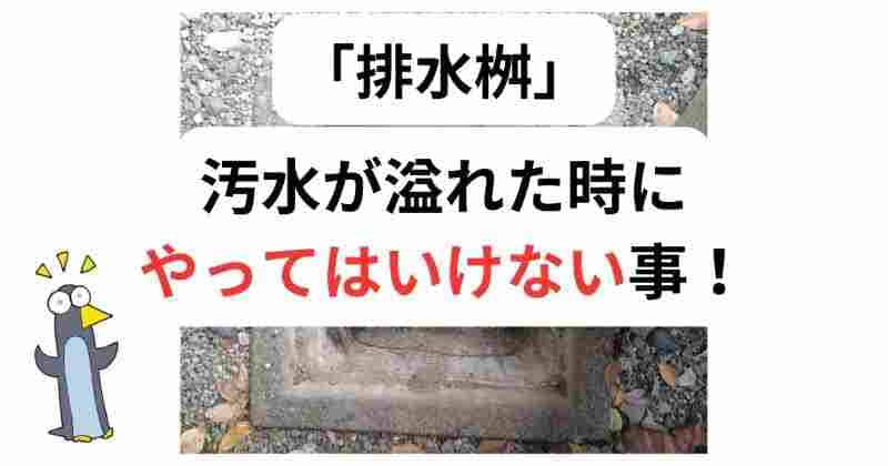 排水桝から汚水が溢れた時にやってはいけない事！やるべき事！